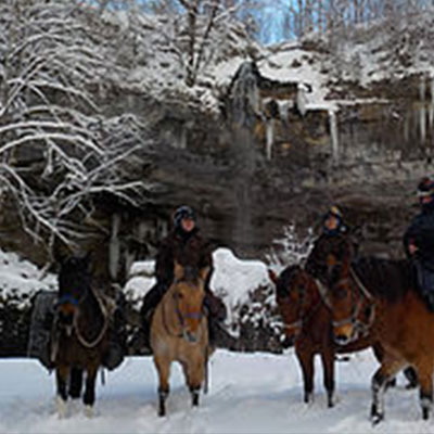 Randonnée hivernales à cheval dans le jura